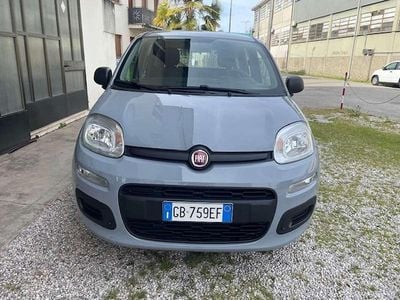 Usata Fiat Panda Easy 69 CV (50 kW) 2020 Other Utilitaria