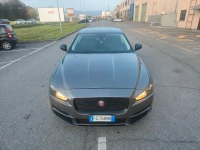 Usata Jaguar XE Portfolio 180 CV (132 kW) 2017 Grigio Berlina