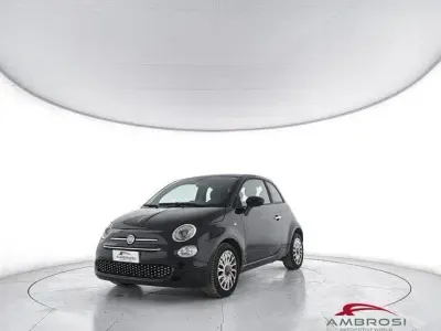 Usata Fiat 500 Lounge 69 CV (50 kW) 2021 Grigio Utilitaria