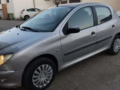 Usata Peugeot 206
