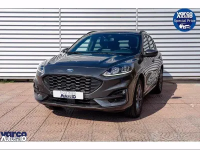 Usata Ford Kuga ST-Line X 225 CV (165 kW) 2023 Grigio SUV