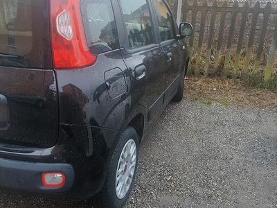 Usata Fiat Panda 2016 Nero Utilitaria