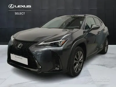 Usata Lexus UX 250h 152 CV (111 kW) 2023 Grigio SUV