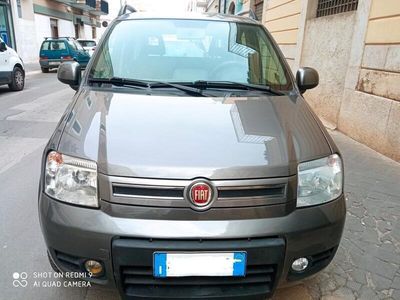 Usata Fiat Panda 4x4 Climbing 75 CV (55 kW) 2011 Grigio Utilitaria