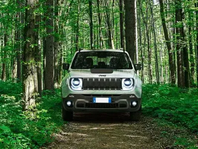 Usata Jeep Renegade Trailhawk 179 CV (131 kW) 2020 SUV
