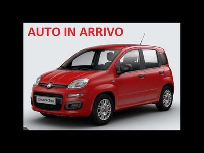 usata Fiat Panda 1.3 MJT 95 CV S&S Easy del 2016 usata a Bologna