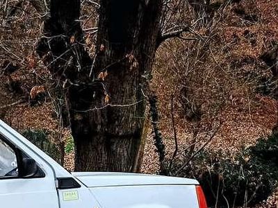 Usata Fiat Panda 4x4 Trekking 50 CV (36 kW) 1993 Bianco Utilitaria