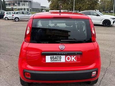 Usata Fiat Panda Easy 80 CV (58 kW) 2019 Rosso Utilitaria