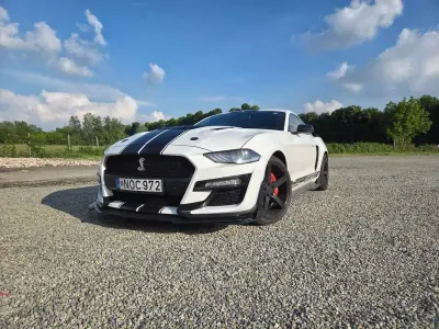 Usata Ford Mustang Fastback 317 CV (233 kW) 2018 Coupé
