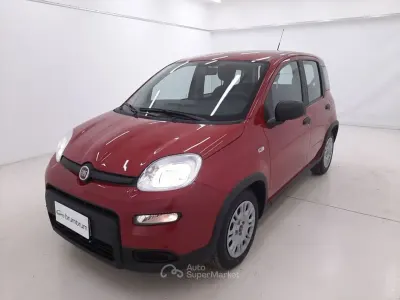 Usata Fiat Panda