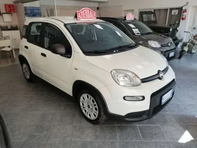 Usata Fiat Panda Icon 69 CV (50 kW) 2023 Bianco gelato Utilitaria