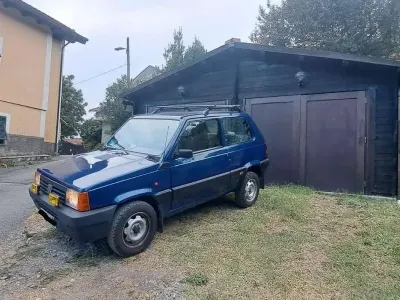 Usata Fiat Panda 4x4 Trekking 54 CV (39 kW) 2002 Blu/azzurro Utilitaria