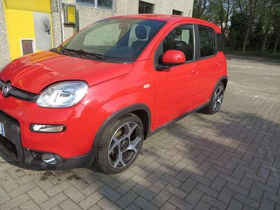 Usata Fiat Panda S 69 CV (50 kW) 2021 Rosso Utilitaria