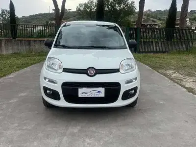 Usata Fiat Panda