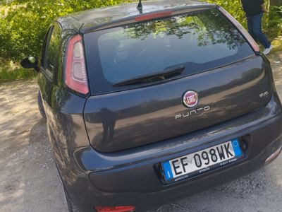 usata Fiat Punto Evo Punto Evo 1.2 5 porte S&S Active