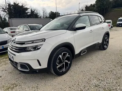 Usata Citroën C5 Aircross Shine 131 CV (96 kW) 2019 Bianco SUV