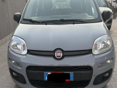 Usata Fiat Panda 69 CV (50 kW) 2019 Grigio Utilitaria