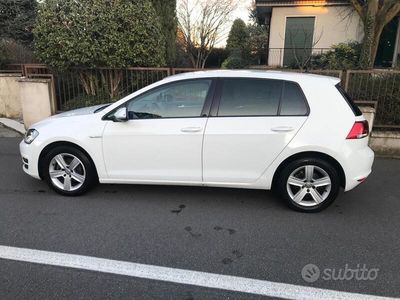 usata VW Golf VII Golf 1.4 TGI 5p. Highline BlueMotion