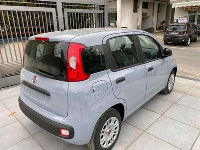 Usata Fiat Panda Easy 69 CV (50 kW) 2018 Grigio Utilitaria