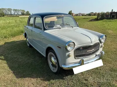 Käytetty Fiat 1100 1960 Harmaa Viistoperä