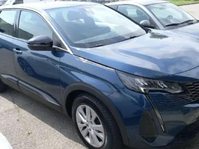 Brugt Peugeot 3008