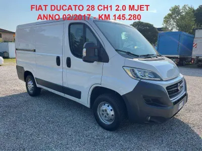 Usata Fiat Ducato 116 CV (85 kW) 2017 Bianco Furgone