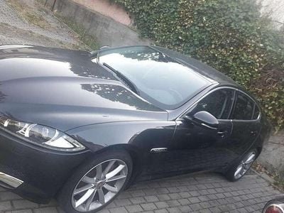 Usata 2014 Jaguar XF Business Edition Berlina | 13.000 €