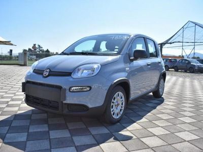 usata Fiat Panda 1.0 FireFly S&S Hybrid Easy nuovo