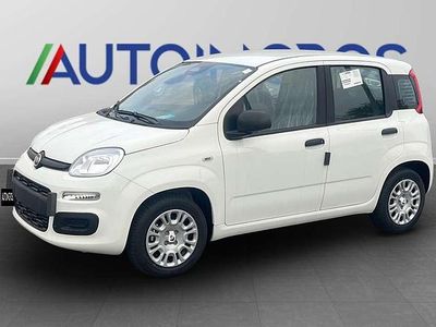 Nuova Fiat Panda Icon 69 CV (50 kW) 2025 Bianco gelato pastello Utilitaria
