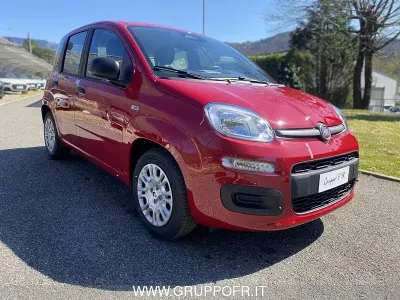 Nuova Fiat Panda Icon 65 CV (47 kW) 2025 Rosso Utilitaria