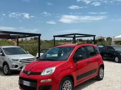 Usata Fiat Panda Lounge 69 CV (50 kW) 2018 Rosso Utilitaria