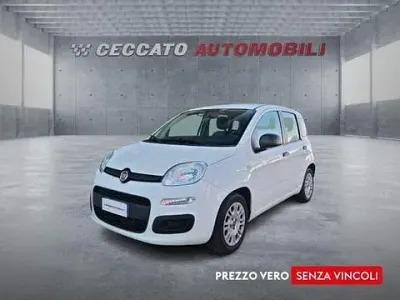 Usata Fiat Panda Easy 69 CV (50 kW) 2020 Bianco Utilitaria