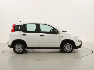 Usata Fiat Panda 70 CV (51 kW) 2024 Biancobianco Utilitaria