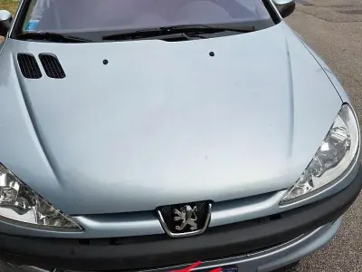 Usata Peugeot 206 75 CV (55 kW) 2005 Berlina