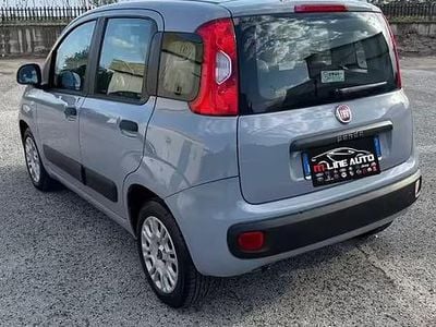 Usata Fiat Panda Easy 69 CV (50 kW) 2018 Grigio Utilitaria