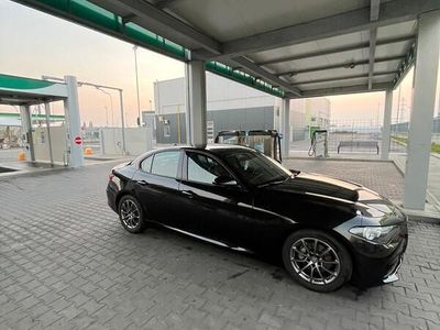 usata Alfa Romeo Giulia 2.2 t eco Business 180cv auto