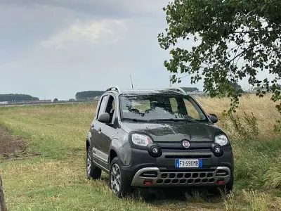 Usata Fiat Panda Cross Cross 86 CV (63 kW) 2020 Utilitaria