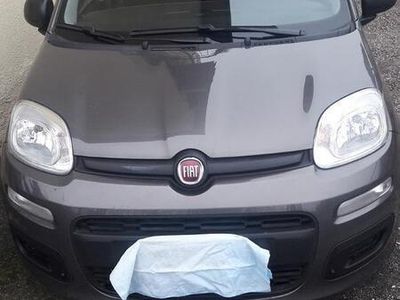 usata Fiat Panda 3ª serie - 2021