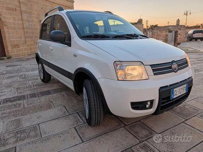 Usata Fiat Panda 4x4 59 CV (43 kW) 2009 Bianco Utilitaria