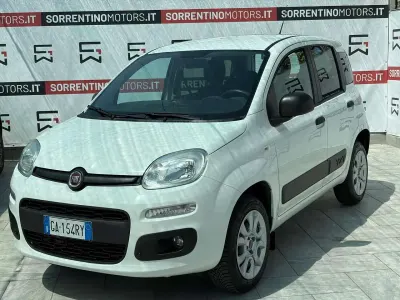 Usata Fiat Panda 4x4 S 86 CV (63 kW) 2020 Bianco Utilitaria