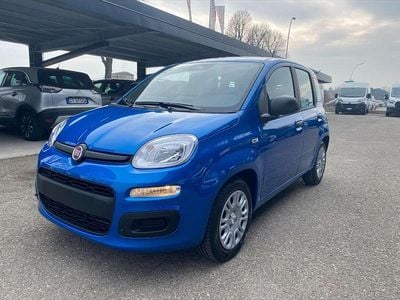 Nuova Fiat Panda Icon 65 CV (47 kW) 2026 Giallo positano / tetto nero Utilitaria