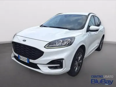 Usata Ford Kuga ST-Line 225 CV (165 kW) 2023 Frozen white SUV