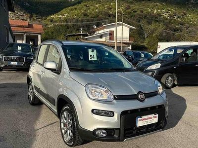 Usata Fiat Panda 4x4 S 95 CV (69 kW) 2017 Argento Utilitaria