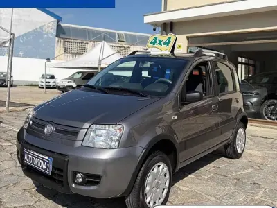 Usata Fiat Panda 4x4 Climbing 69 CV (50 kW) 2011 Grigio Utilitaria