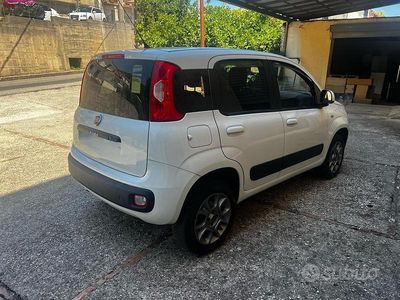 Usata Fiat Panda 4x4 2016 Bianco Utilitaria