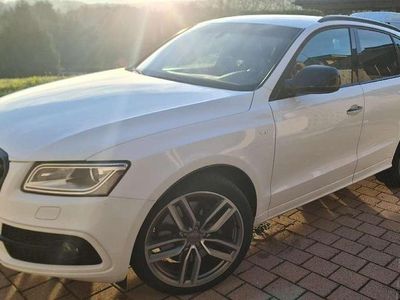 Usata Audi SQ5 340 CV (250 kW) 2016 Bianco SUV