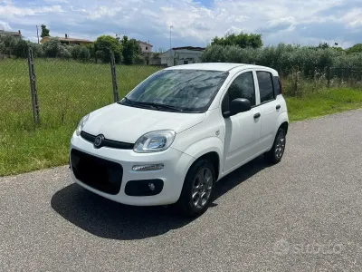 Usata Fiat Panda Easy 80 CV (58 kW) 2017 Bianco Utilitaria