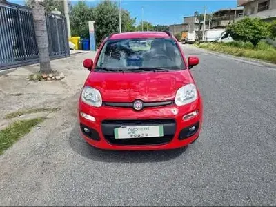 Usata Fiat Panda 80 CV (58 kW) 2017 Utilitaria
