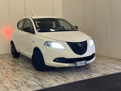 Usata Lancia Ypsilon 69 CV (50 kW) 2015 Bianco Utilitaria