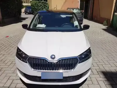 Usata Skoda Fabia